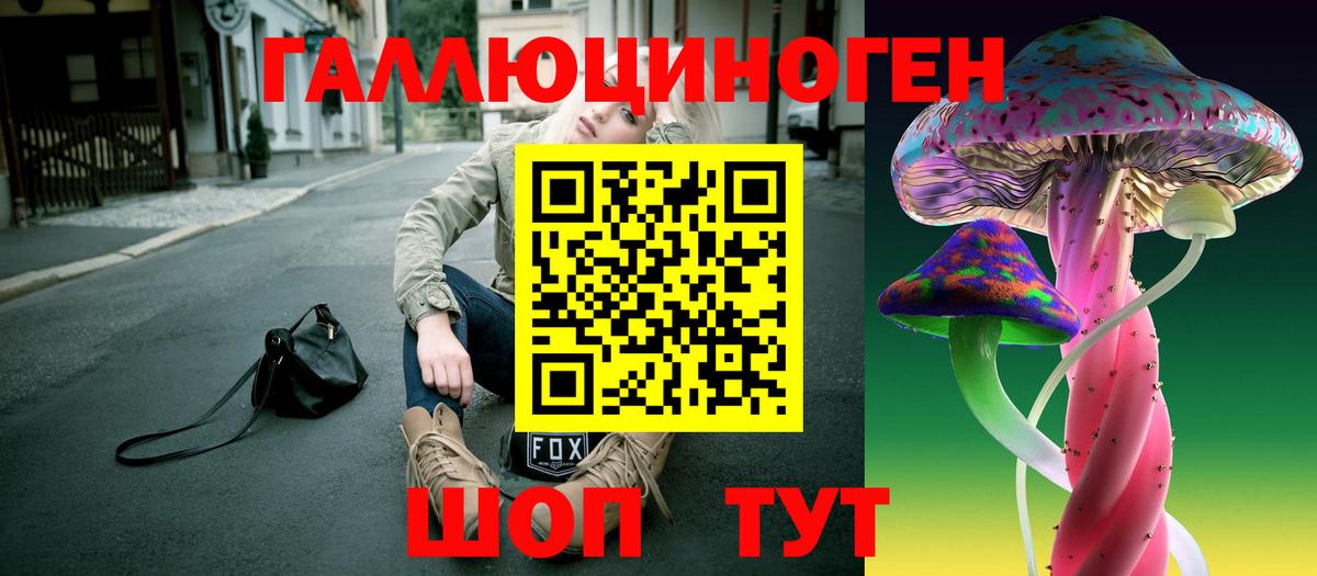 Старая Купавна  Галлюциногенные грибы прущие грибы  Галлюциногенные грибы Cubensis  Вход с VPN 