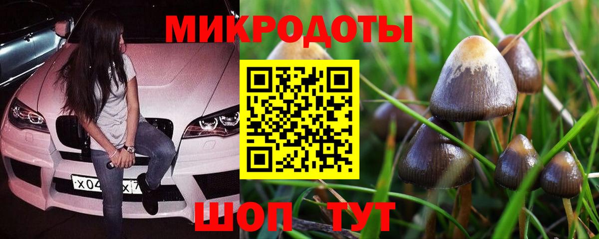 Псилоцибиновые грибы прущие грибы Старая Купавна